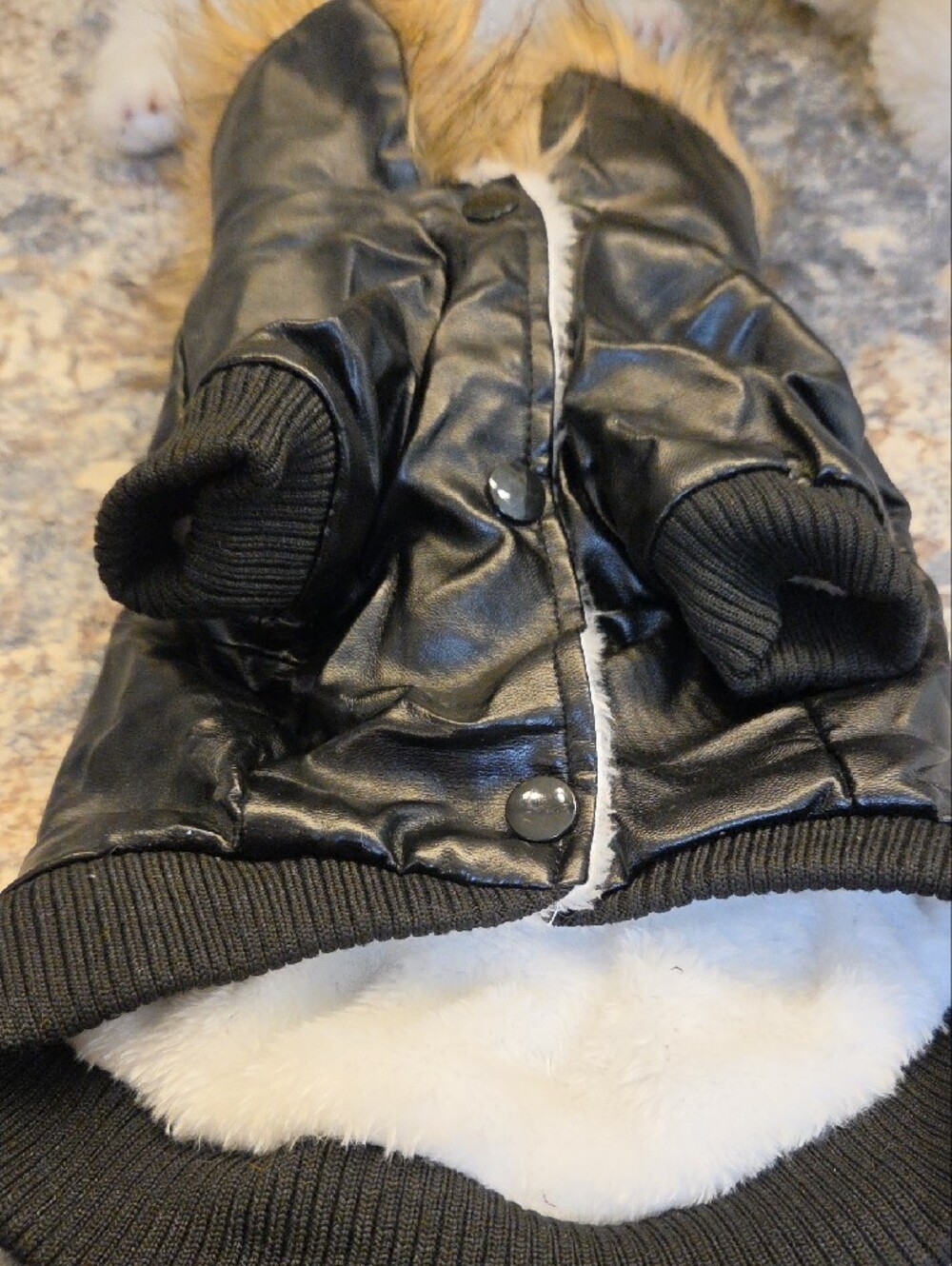 Dogs Faux Fur-Trim Hooded Jacket - Black with Tan Fur - Picture 2 of 10